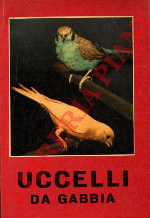- - Uccelli da gabbia.