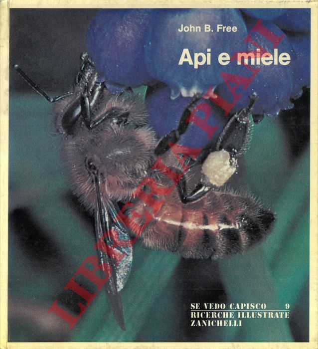 FREE John B. - - Api e miele.