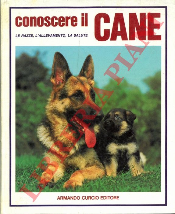 (BIELFELD Horst - SPANGENBERG Rolf) - - Conoscere il cane. Le razze, l'allevamento, la salute.