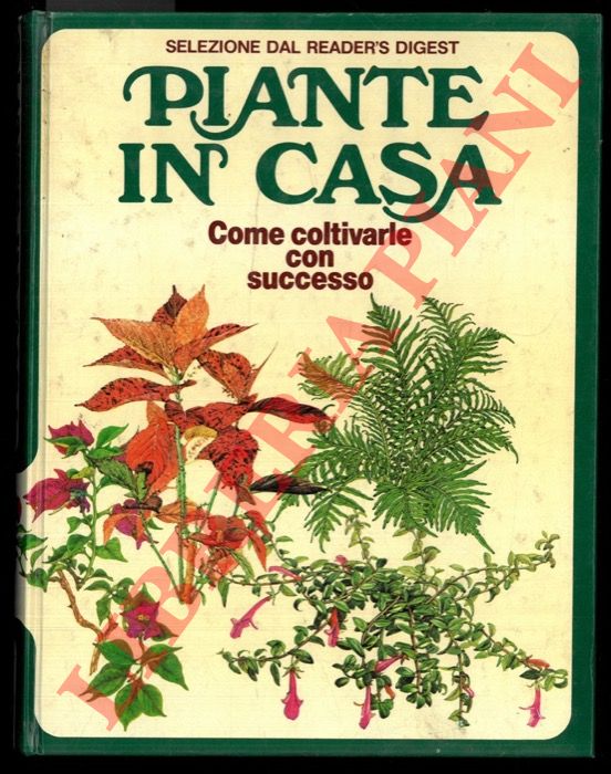 - - Piante in casa. Come coltivarle con successo.