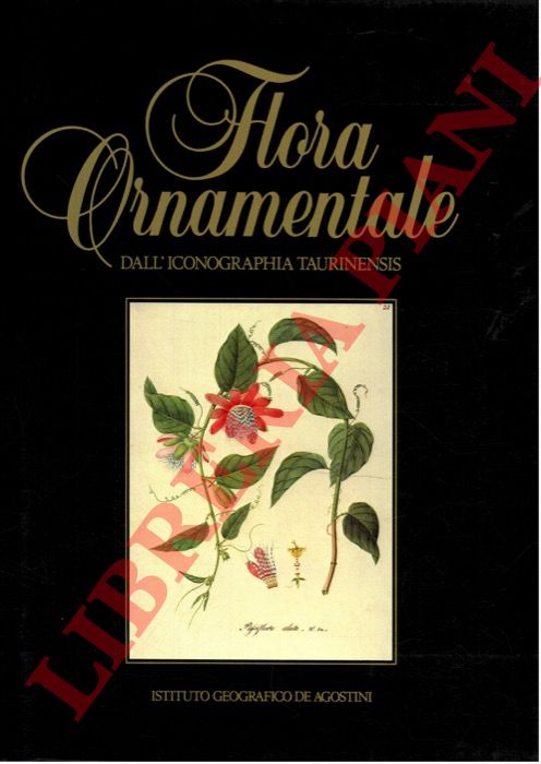 (MONTACCHINI Franco - FORNERIS Giuliana) - - Flora ornamentale dall'Iconografia Taurinensis.