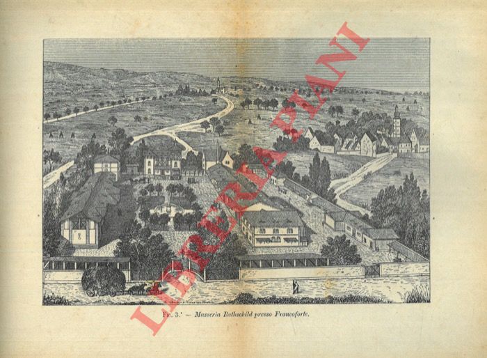 GALANTI Tommaso - - Viaggio agronomico in Svizzera, Germania, Olanda, Belgio, e Inghilterra.