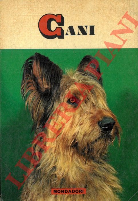 GUILLOT Lucien - - Cani.