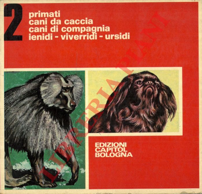 BIGNARDI Paolo - RAGNINI Maria Eugenia - - Primati. Cani da caccia. Cani da compagnia. Ienidi. Viverridi. Ursidi.