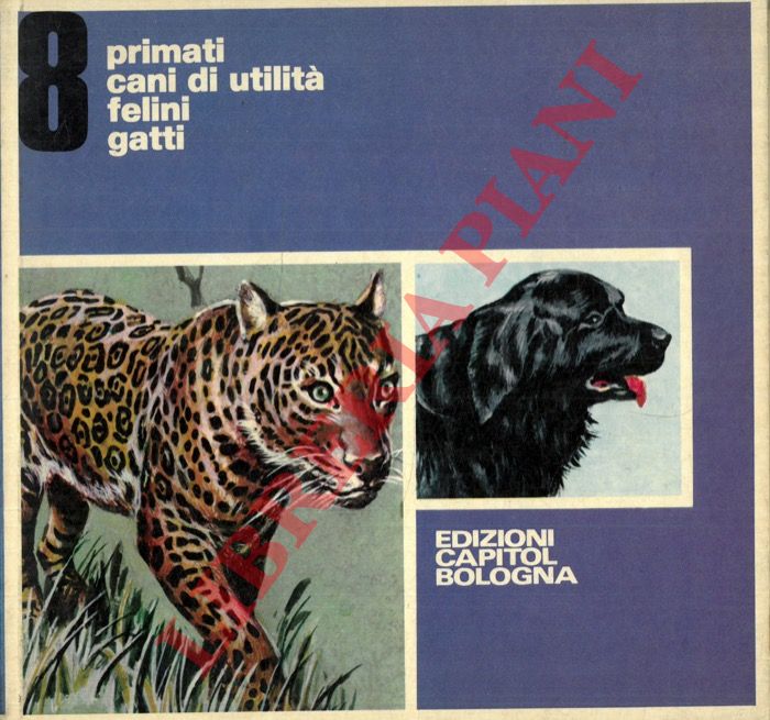 BIGNARDI Paolo - - Primati. Cani di utilit. Felini. Gatti.