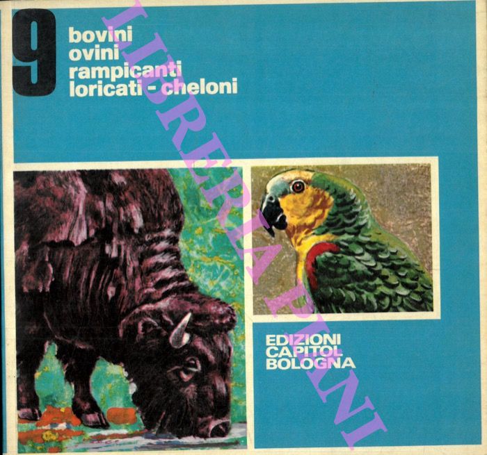 BIGNARDI Paolo et AA - - Bovini. Ovini. Rampicanti. Loricati. Cheloni.