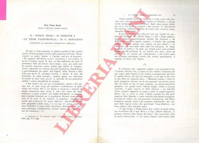 SCOTTI Pietro - - Il 'Forest Negro' di Johnston e 'Le ngre palotropical' di G. Montandon (contributo al problema razziologico africano) .