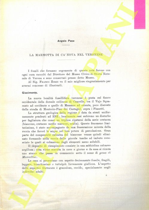 PASA Angelo - - La Marmotta di Ca' Nova nel veronese.