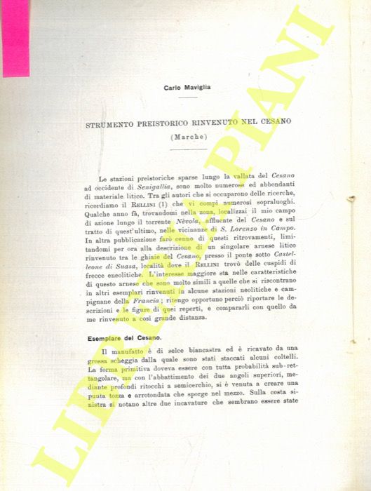 MAVIGLIA Carlo - - Strumento preistorico rinvenuto nel Cesano (Marche) .