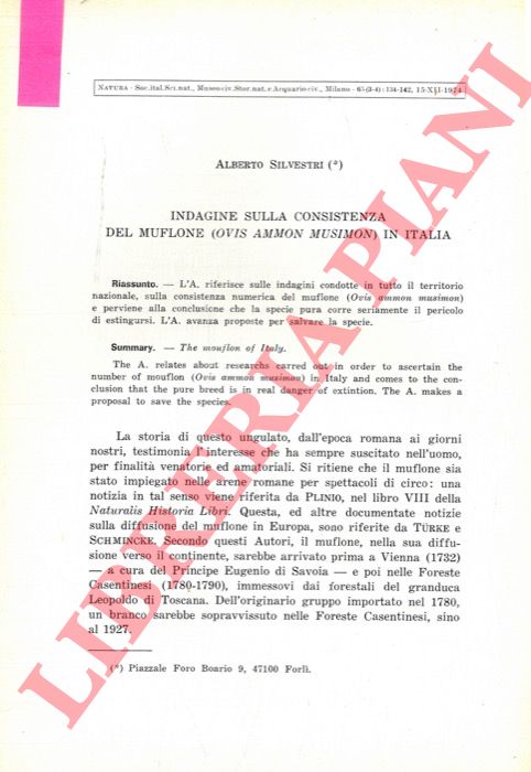 SILVESTRI Alberto - - Indagine sulla consistenza del muflone (Ovis ammon musimon) in Italia.