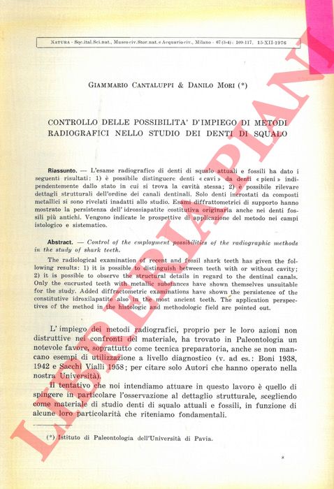 CANTALUPPI Giammario & MORI Danilo - - Controllo delle possibilit d'impiego di metodi radiografici nello studio dei denti di squalo.