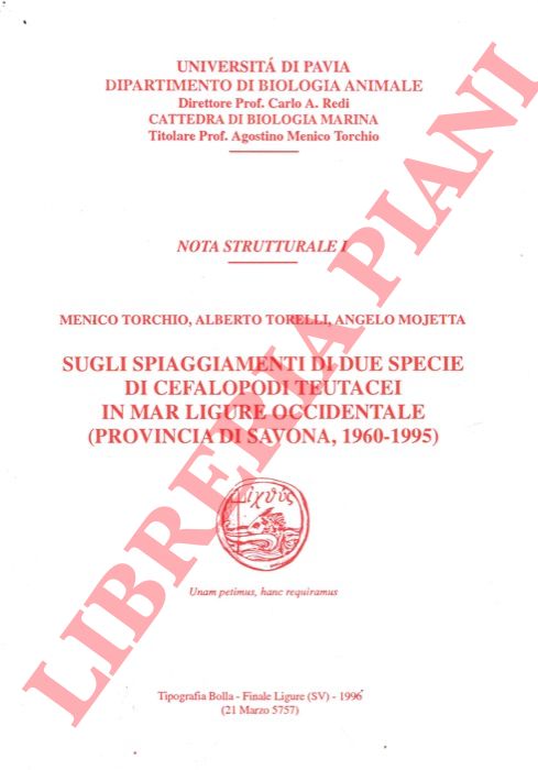 TORCHIO Menico - TORELLI Alberto - RASINI Gianangelo - - Sugli spiaggiamenti di due specie di Cefalopodi Teutacei in Mar Ligure occidentale (provincidi Savona, 1960-1995) .