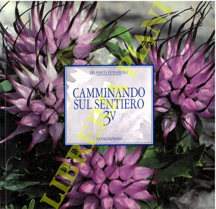 FENAROLI Franco - - Camminando sul sentiero 3V.