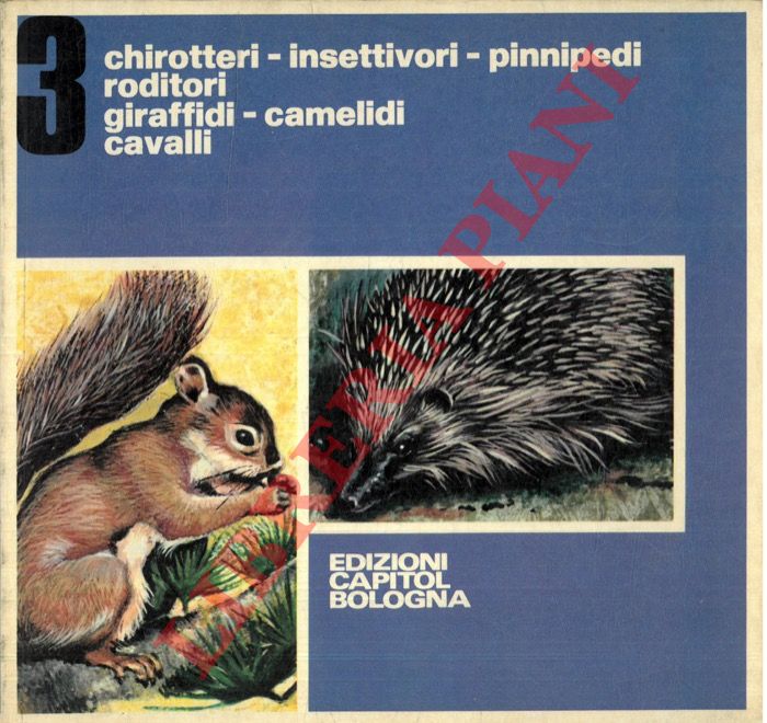 SCARDOVI Matilde - BESSO Anna - RONCHI Geremia - - Chirotteri. Insettivori. Pinnipedi. Roditori. Giraffidi. Camelidi. Cavalli.