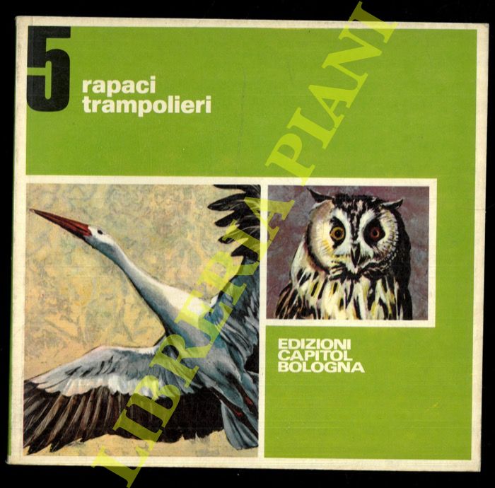 BIGNARDI Paolo - BESSO Anna - - Rapaci. Trampolieri.