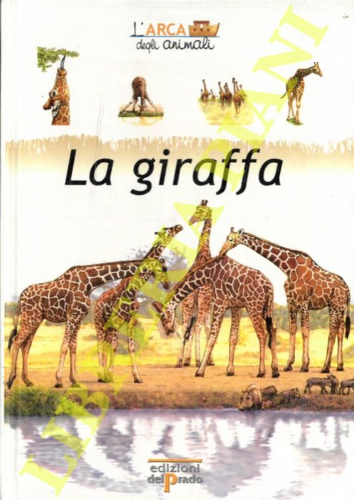 CREATIVIDAD Calambur - - La giraffa.