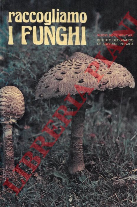 TOSCO Uberto - - Raccogliamo i funghi.