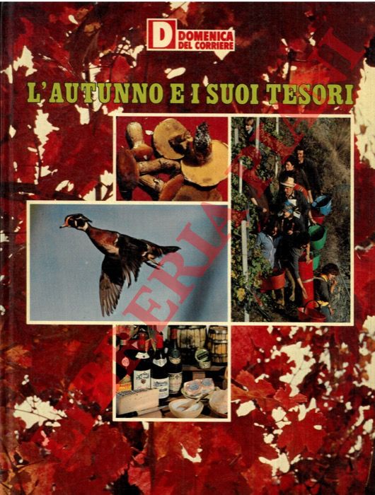 AA. VV. - - L'autunno e i suoi tesori.