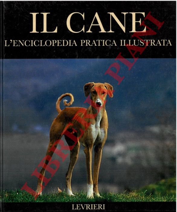  - Il cane. L'enciclopedia pratica illustrata. Levrieri.