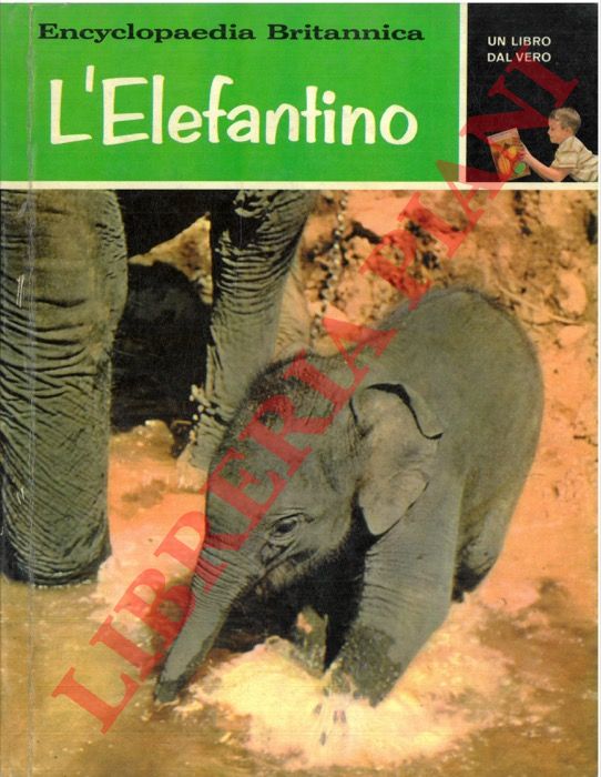 RAO Udiavar G. - - L'elefantino.