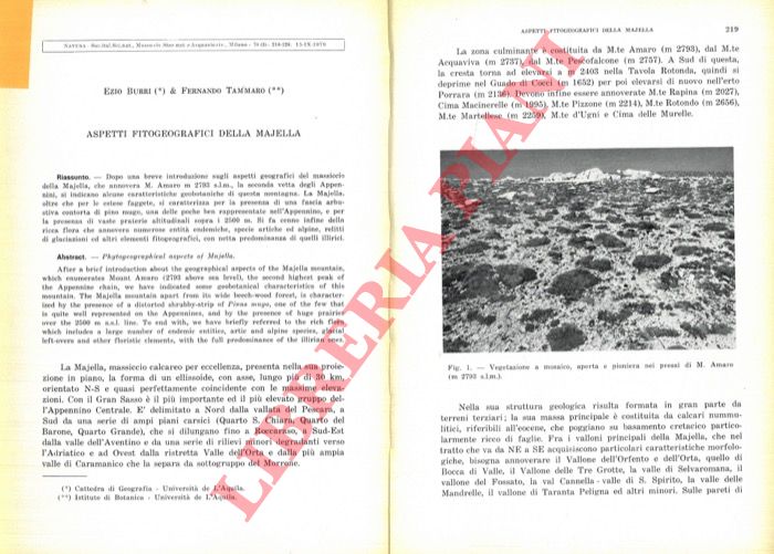 BURRI Ezio - TAMMARO Fernando - - Aspetti fitogeografici della Majella.