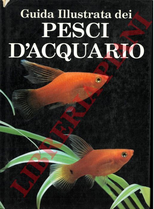 MILLS Dick - - Guida Illustrata Dei Pesci D'acquario.