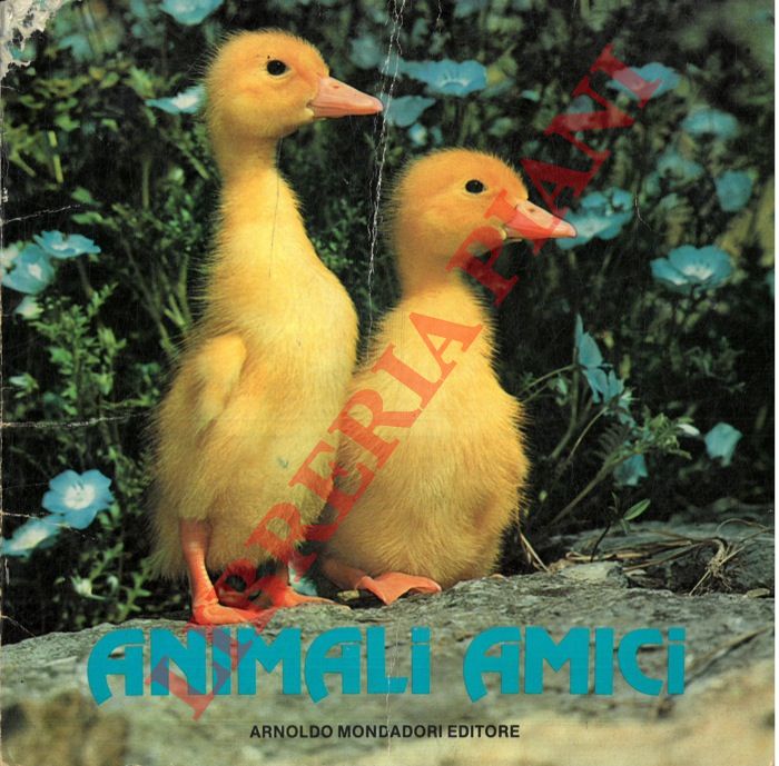 - - Animali amici.