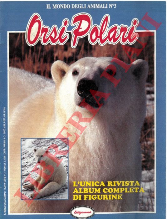 - - Orsi polari.