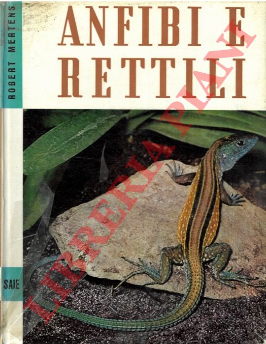 MERTENS Robert - - Anfibi e rettili.