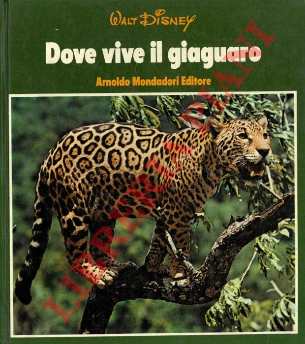 DISNEY Walt - - Dove vive il giaguaro.