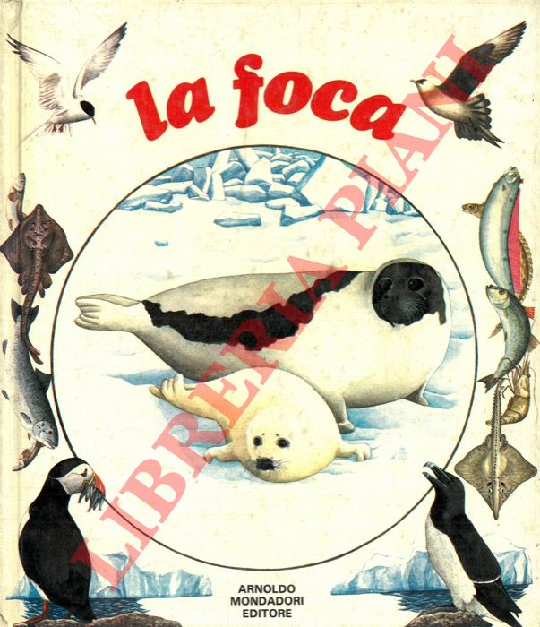 DALMAIS Anne Marie - - La foca.