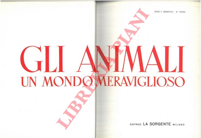 BERRETTA Dino S. - COSTA R. - - Gli animali un mondo meraviglioso.