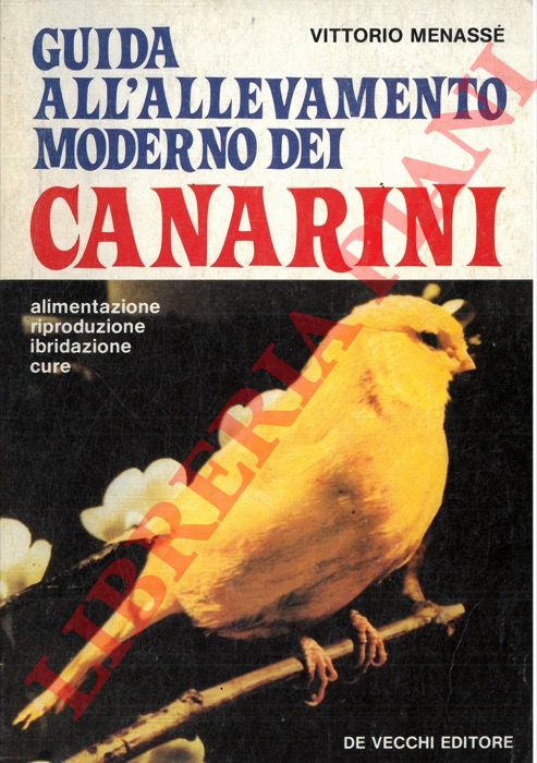 MENASSE' Vittorio - - Guida all'allevamento moderno dei canarini. Alimentazione - riproduzione - ibridazione - cure.