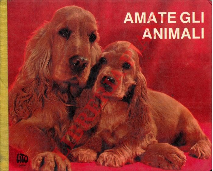 - - Amate gli animali. Il pony. La pecora allatta. I cigni sull'isolotto. Bue al sole. Gallina. Il cane Lassie.