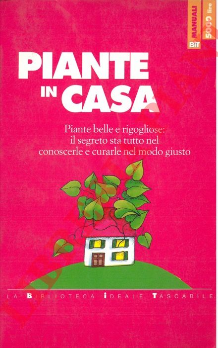 - - Piante in casa.
