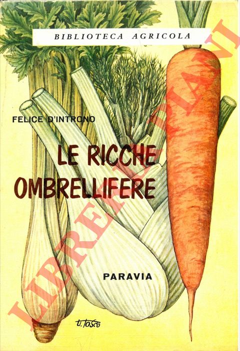 D'INTRONO Felice - - Le ricche Ombrellifere.