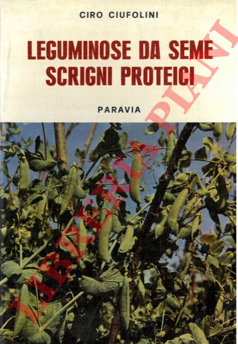 CIUFOLINI Ciro - - Leguminose da seme scrigni proteici.