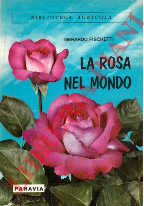 FISCHETTI Gerardo - - La rosa nel mondo.