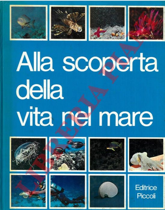 PISU Silverio - - Alla scoperta della vita nel mare.