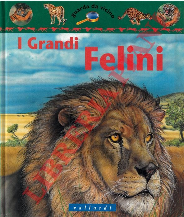 GUNZI Christiane - - I grandi felini.
