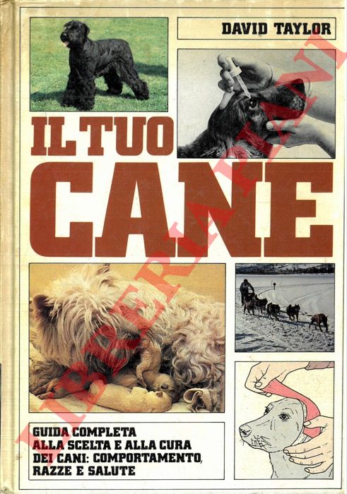 TAYLOR David - - Il tuo cane.