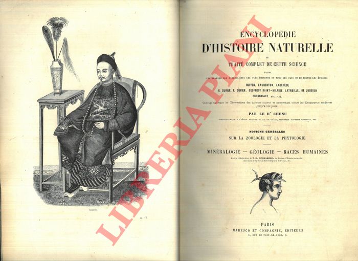 CHENU J.-C. - - Encyclopdie d'histoire naturelle ou trait complet de cette science d'aprs les travaux des naturalistes les plus minents de tous les pays et de toutes les poques Buffon, Daubenton, Lacpde, G. Cuvier, F. Cuvier, Geoffroy Saint-Hilaire, Latreille, De Jussieu, Brogniart ecc. Notions gnrales sur la zoologie et la phytologie - Minralogie - Gologie - Races Humaines.