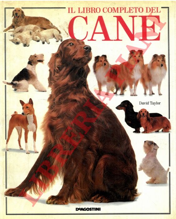 TAYLOR David - - Il libro completo del cane.