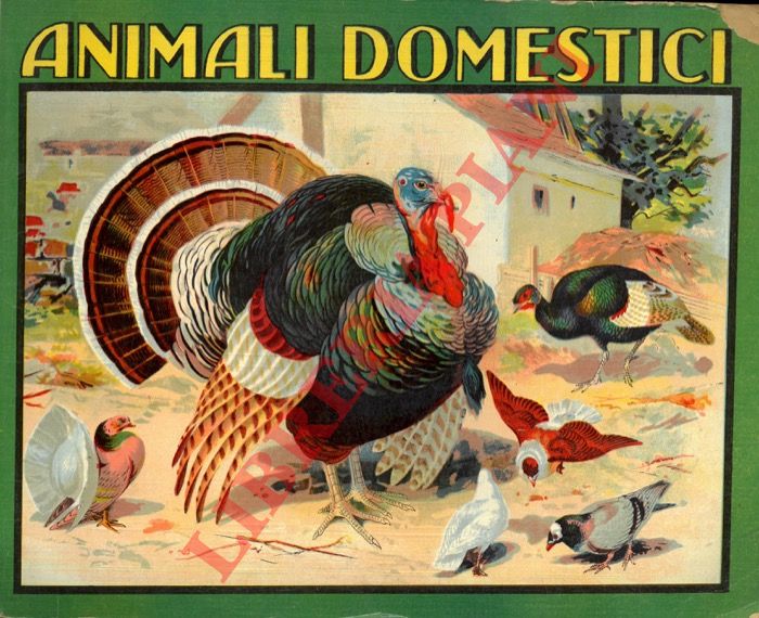 (PERTILE Cuman) - - Animali domestici.