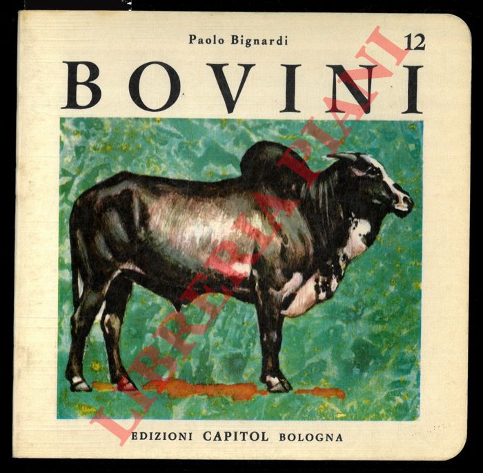 BIGNARDI Paolo - - Bovini.