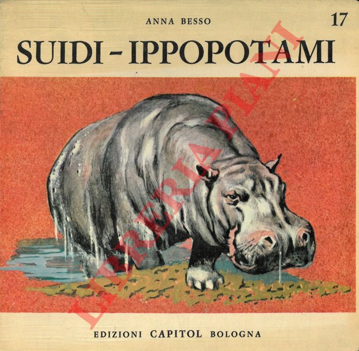 BESSO Anna - - Suidi - Ippopotami.