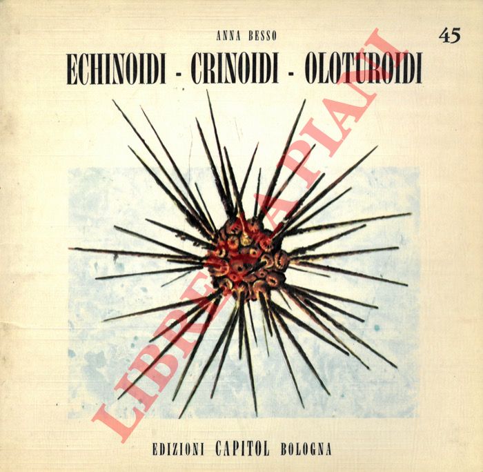 BESSO Anna - - Echinoidi. Crinoidi. Oloturoidi.