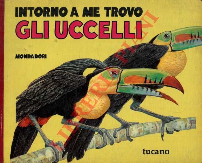 - - Intorno a me trovo gli uccelli.