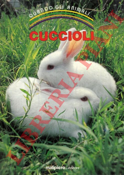 - - Cuccioli.