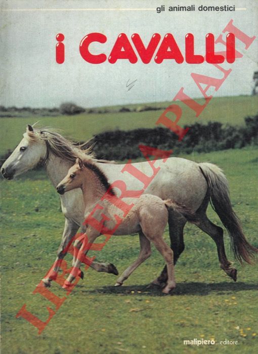 - - I cavalli.